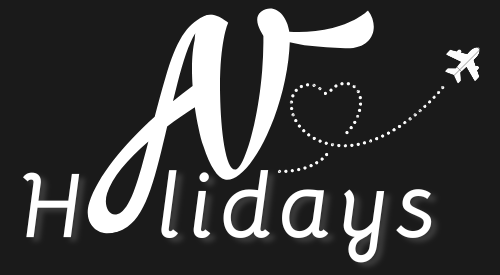 Site logo dark